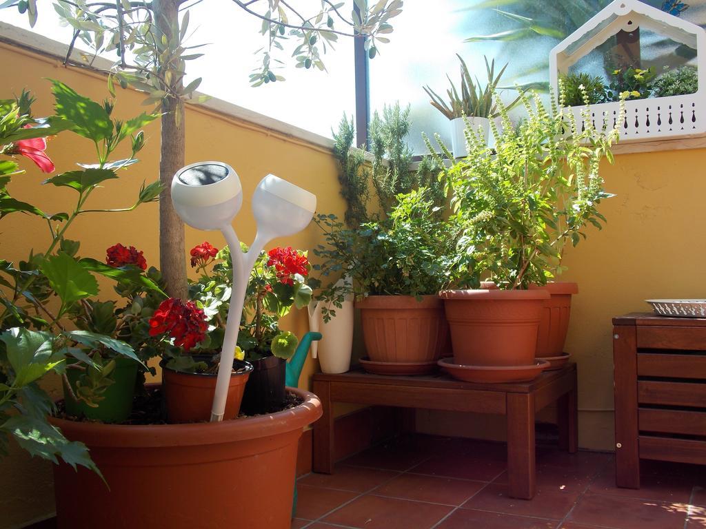 B&B Dei Cavalieri Pisa Luaran gambar